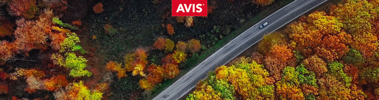 Avisです✨ AVIS 11月スペシャル割引！ | 海外レンタカーのエイビスレンタカー